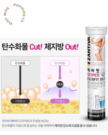 Viên sủi hỗ trợ giảm cân Zantiva Everfit Diet